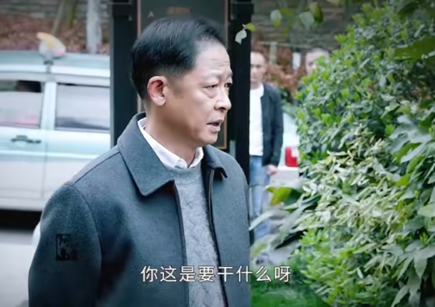 风雨送春归电视剧在哪个台播放风雨送春归电视剧播放平台介绍-第2张图片