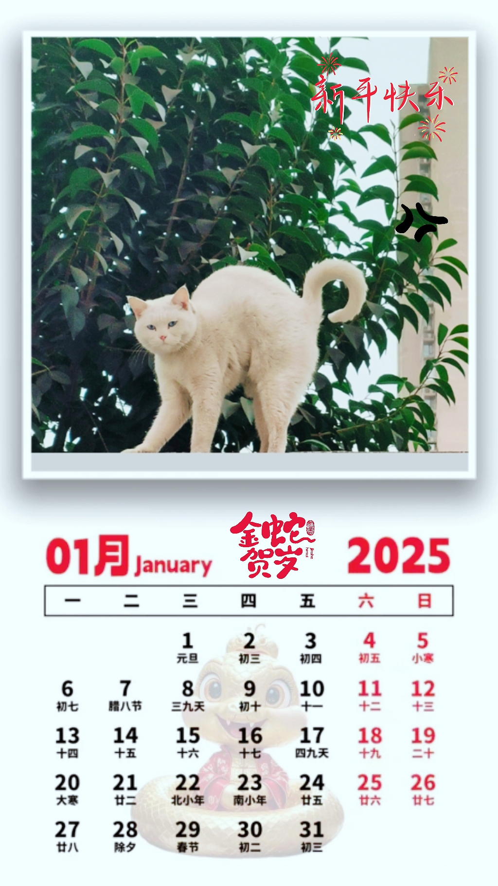 白猫图库白猫印刷图库白猫图库，探索数字时代的艺术宝库