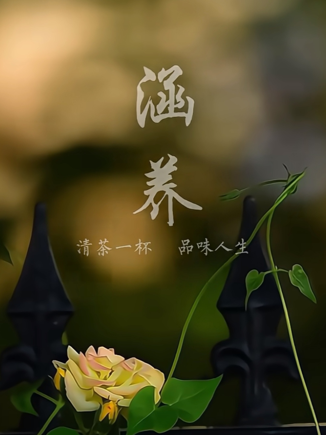 饮茶先啦饮茶先啦，品味生活，品味文化-第3张图片