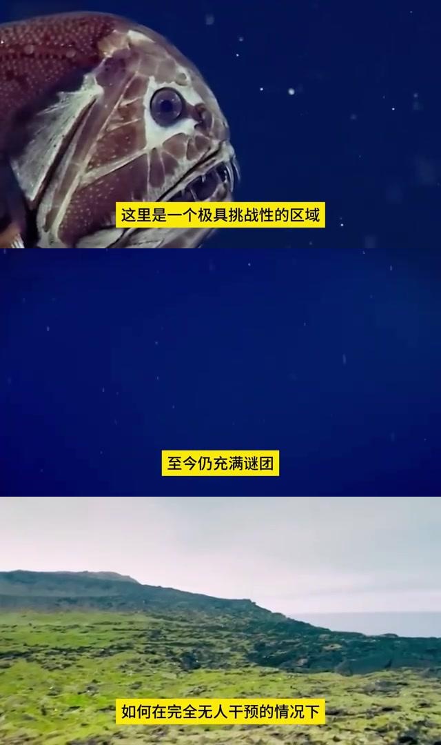 久久大陆，探索未知的神秘之地-第3张图片
