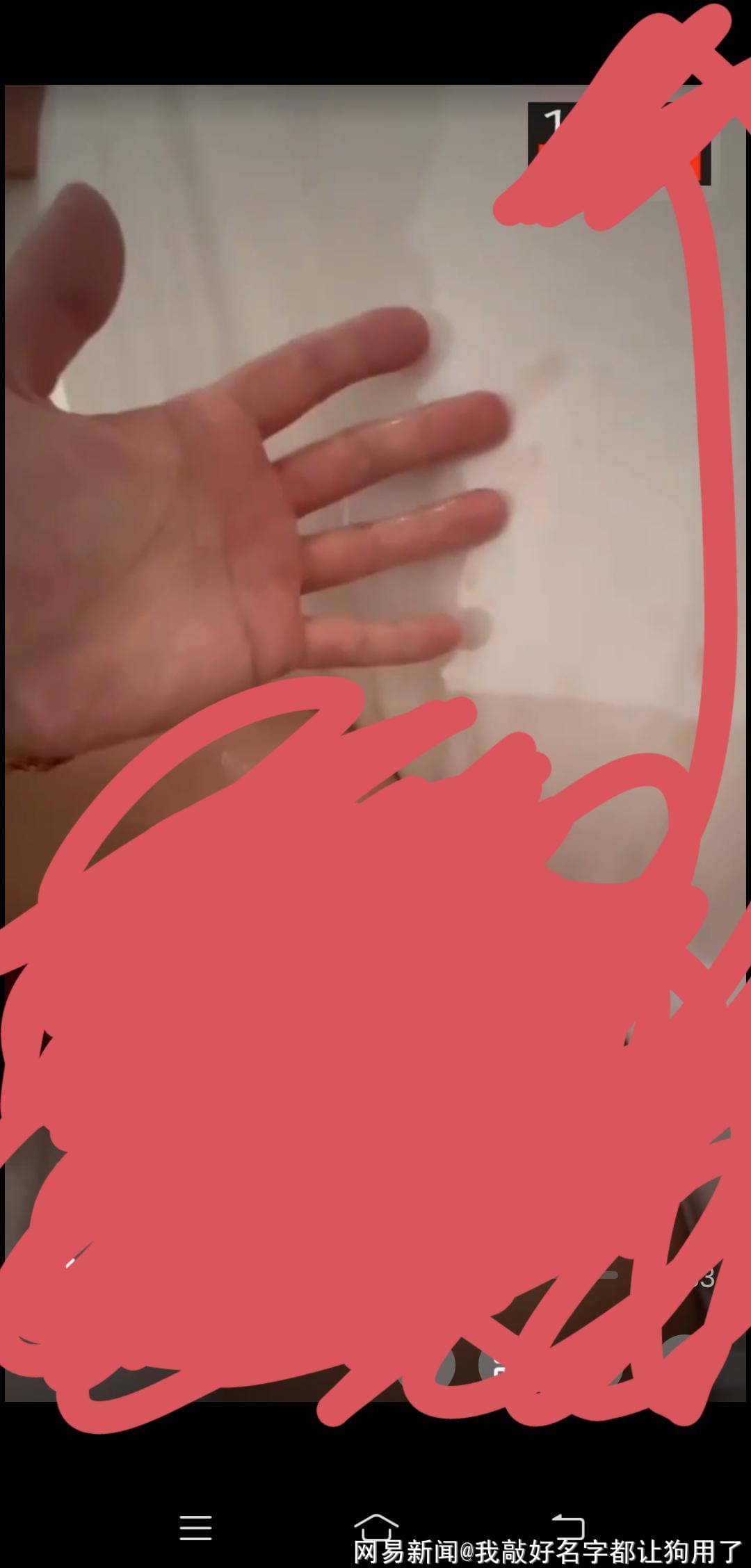 张津瑜落地窗9分贴吧张津瑜落地窗9分贴吧，探索生活中的美好与艺术-第2张图片