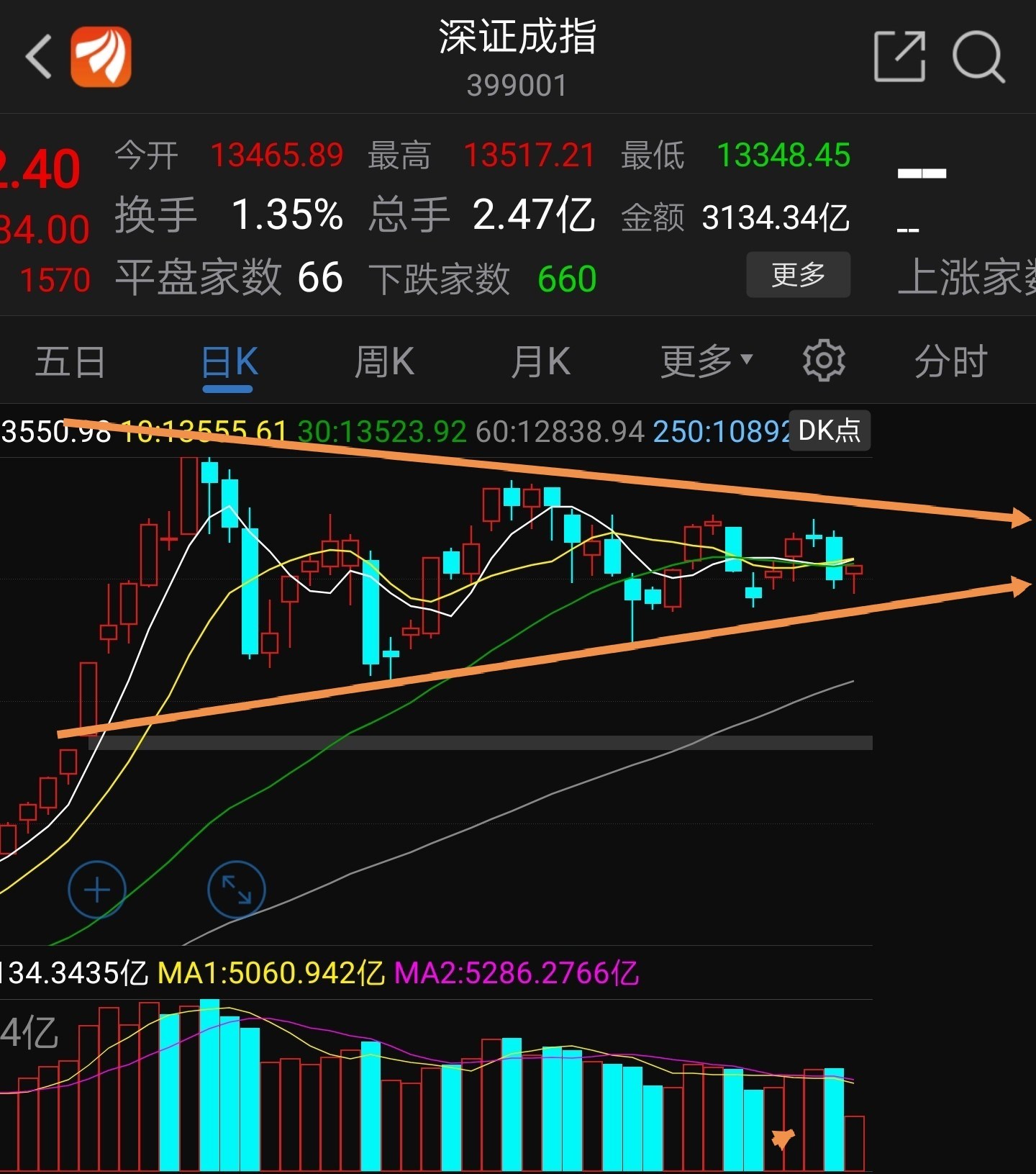 香港曾道六肖精选一肖 泳装香港曾道六肖精选一肖，揭秘预测与策略