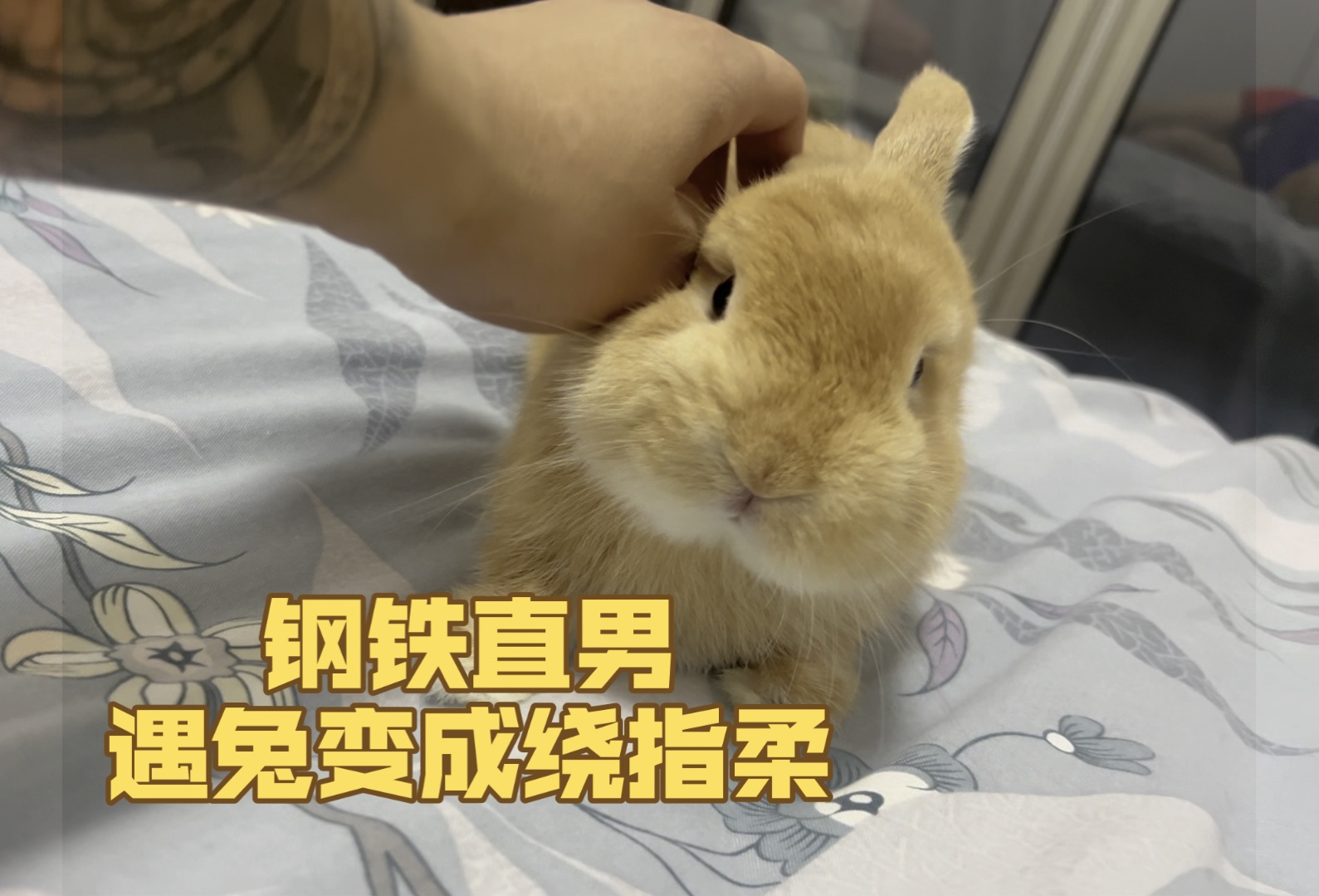 小兔兔被男朋友吃该不该拒绝小兔兔被男生吃后的感觉与疼痛