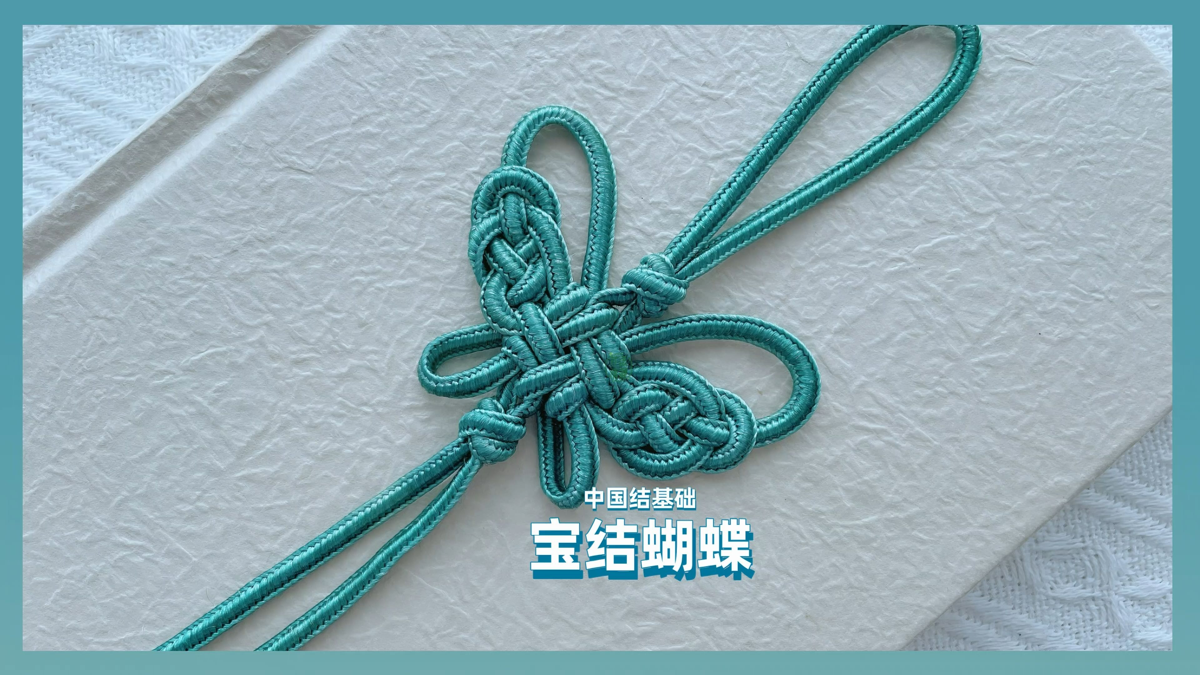 蝴蝶结先祖在哪蝴蝶结先祖的位置