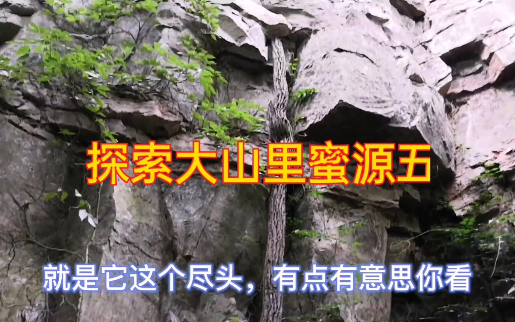 野花论坛地址野花论坛地址探索-第3张图片
