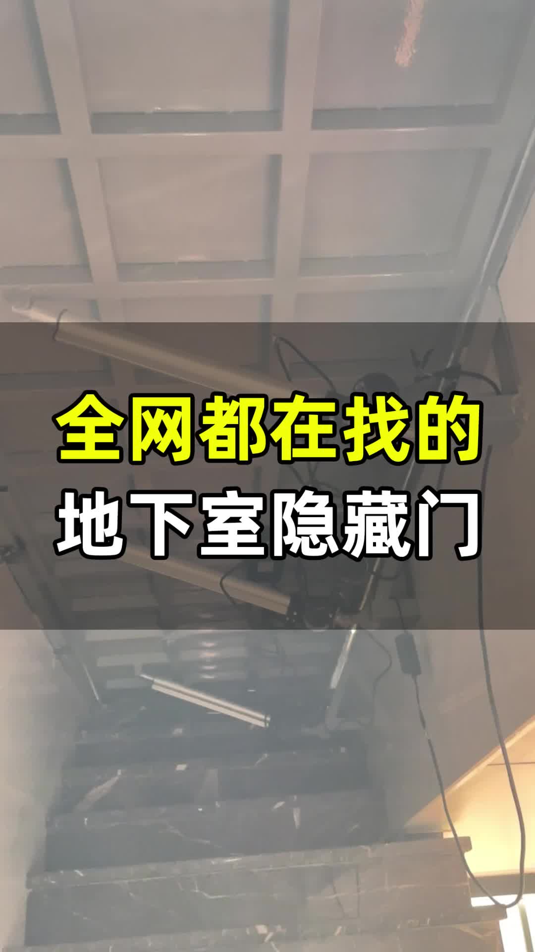 含羞草实验室隐藏入口含羞草实验室隐藏入口探索