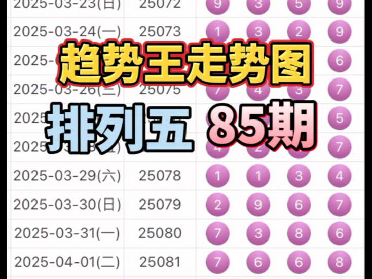 排列五综合走势图综述