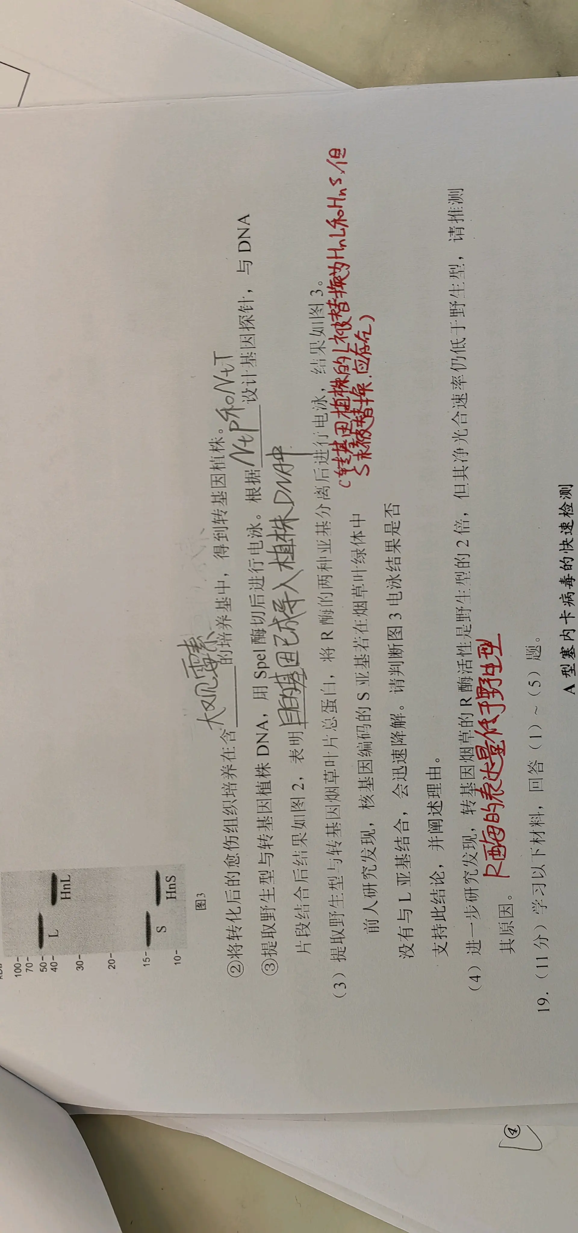 错题插叙-第2张图片