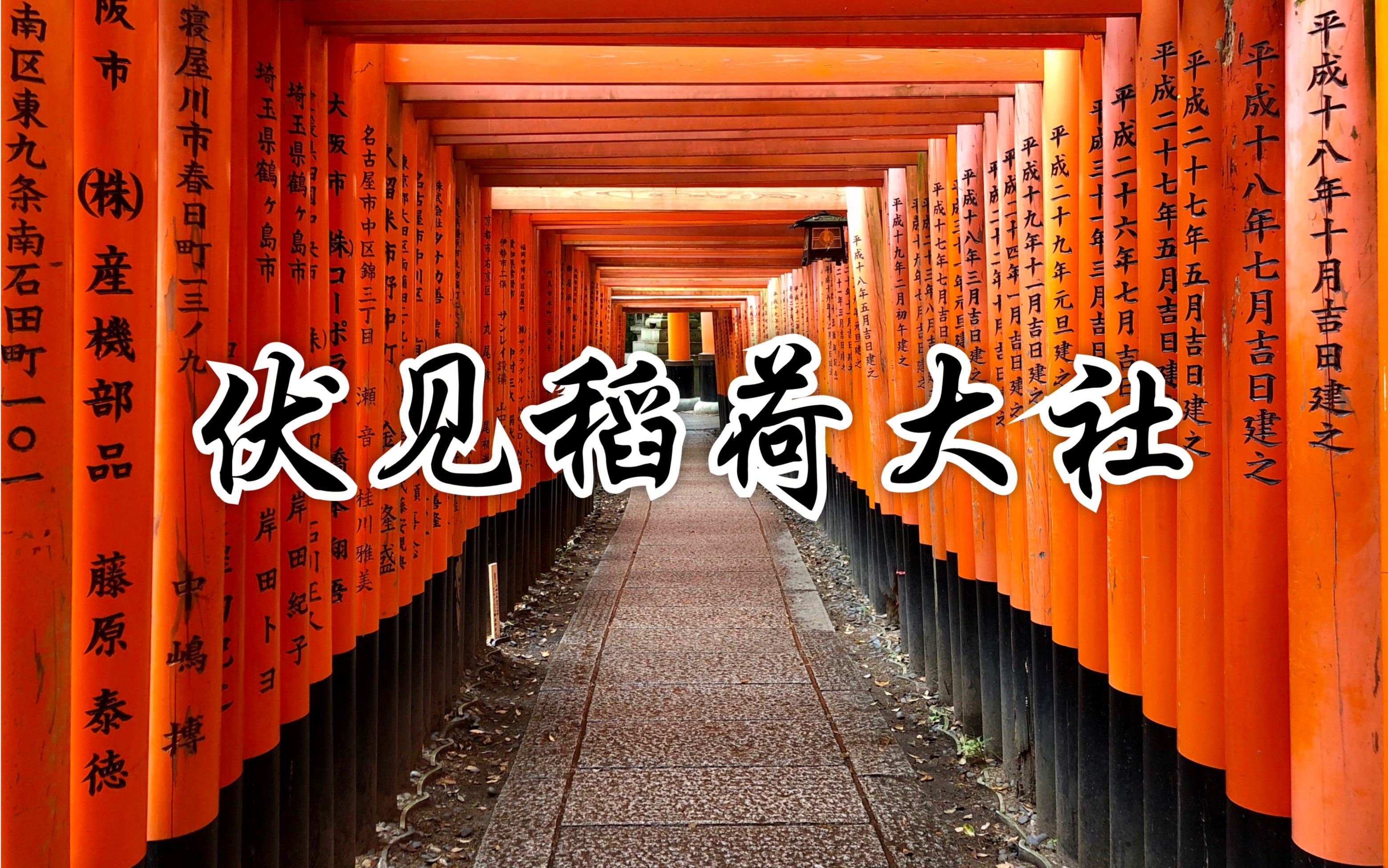 探索日本神秘之谜，与beegxxx的奇妙邂逅-第2张图片