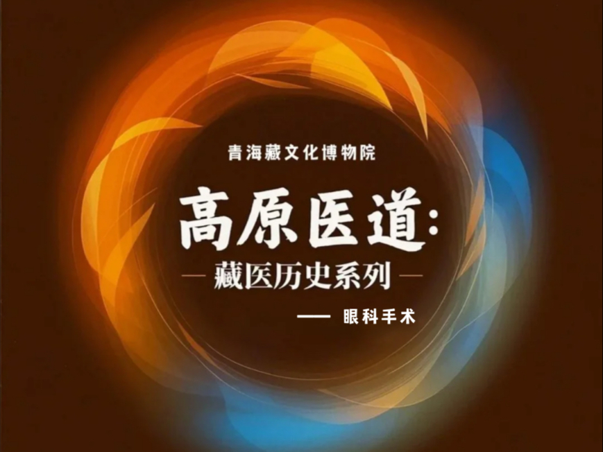 医道官 途医道官途顶点，探寻医道之路的巅峰