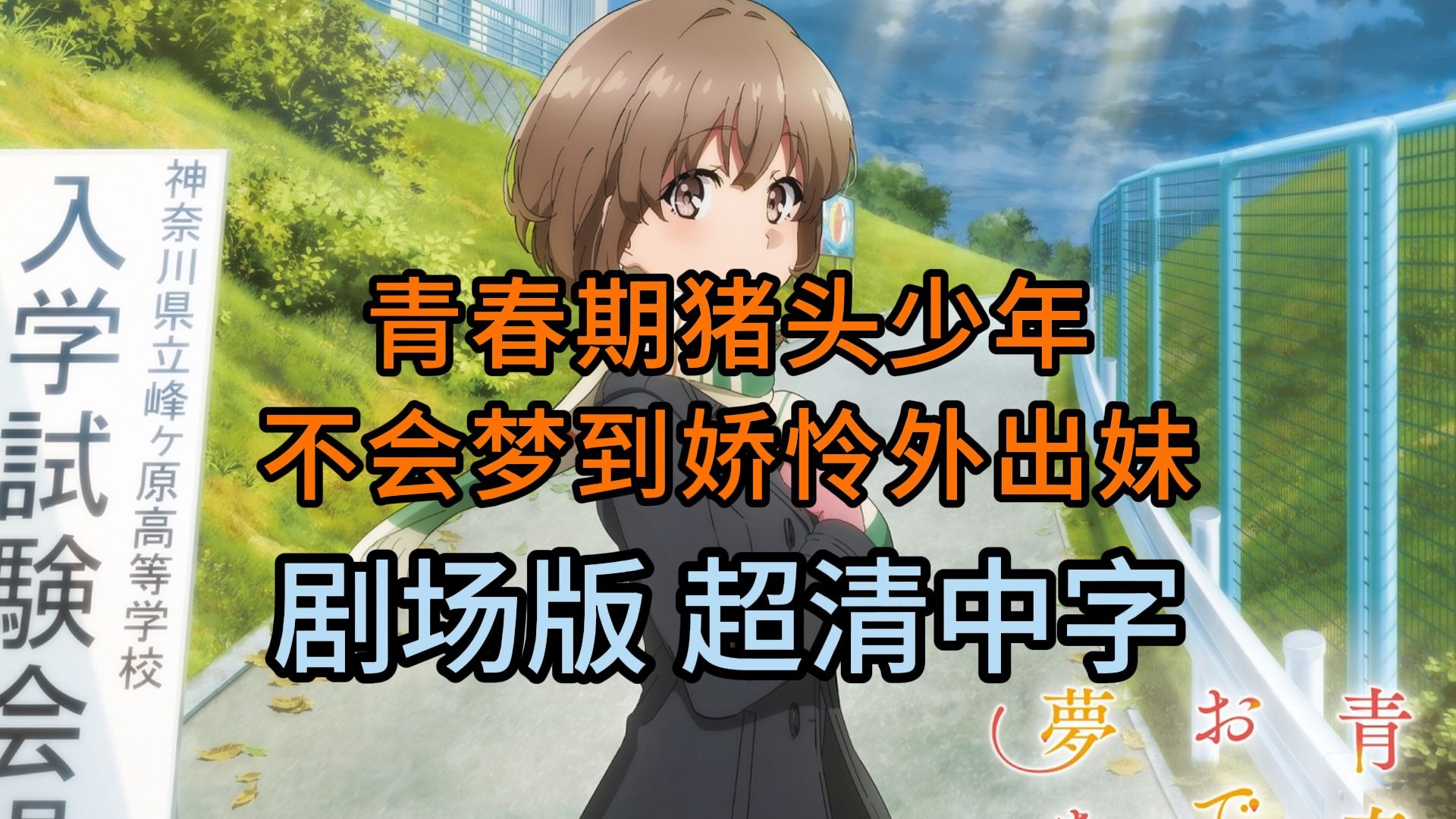 中文字字幕的中文字幕本是否存在-第2张图片
