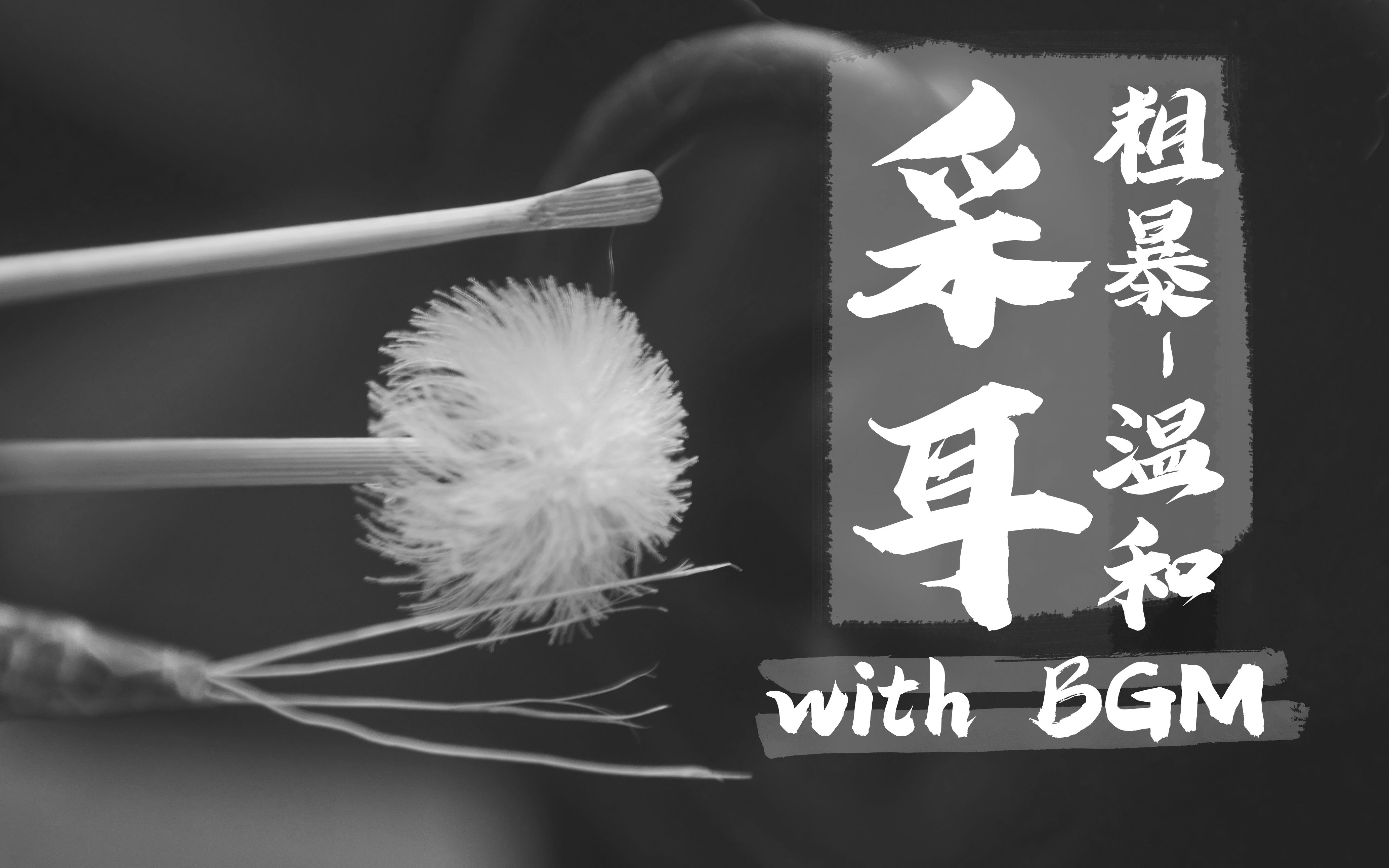 BGMBGMBGM老妇视频，岁月见证的魅力