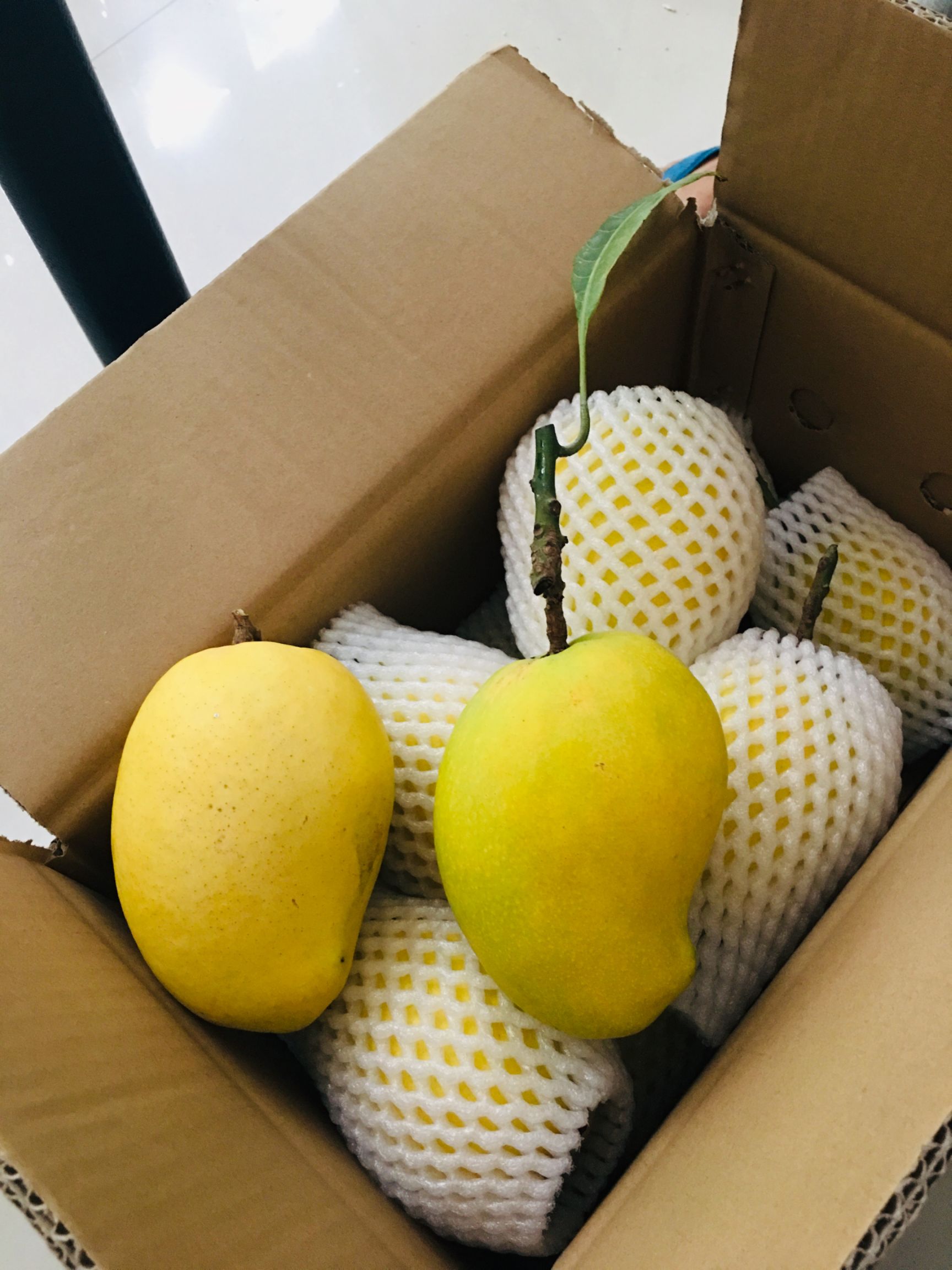 亚洲区产品乱码芒果现象分析-第2张图片
