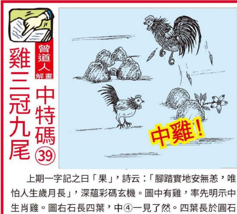 626969cc澳彩资料大全2020期，揭秘彩市风云