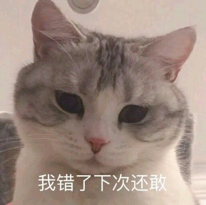 主人我错了能不能关掉开关主人我错了能否关掉开关