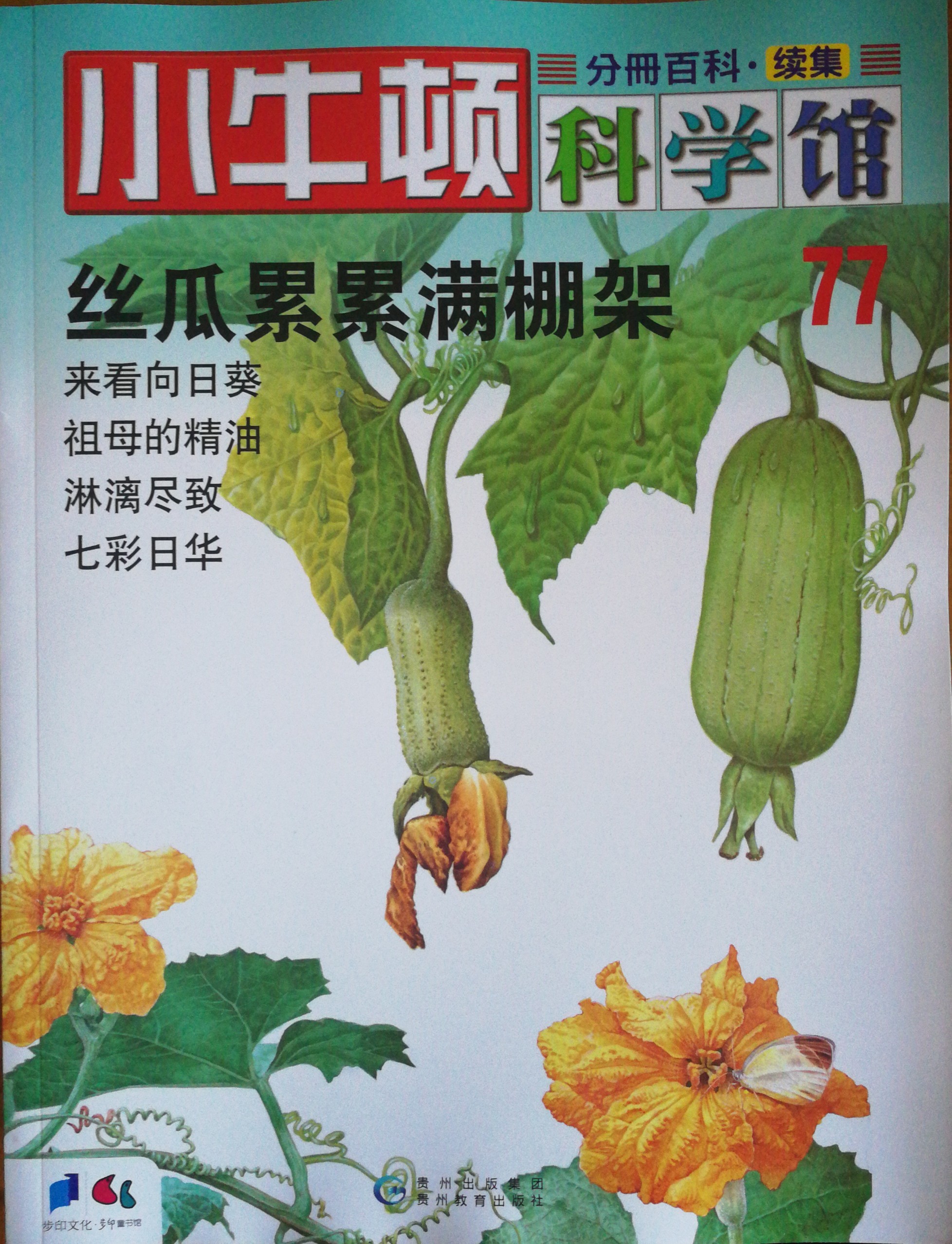 丝瓜app1.3.0官网丝瓜APP官方网，探索便捷生活的新篇章-第2张图片