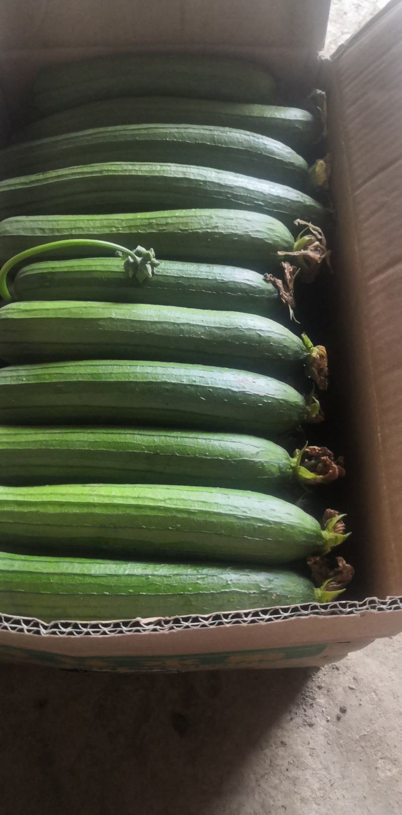 丝瓜视频和草莓视频下载APP丝瓜视频与草莓视频下载APP，探索视频娱乐新世界
