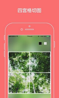 蜜芽永不失联2023