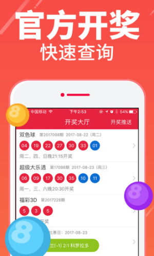 二肖3码二肖3码，彩票投注的智慧与策略