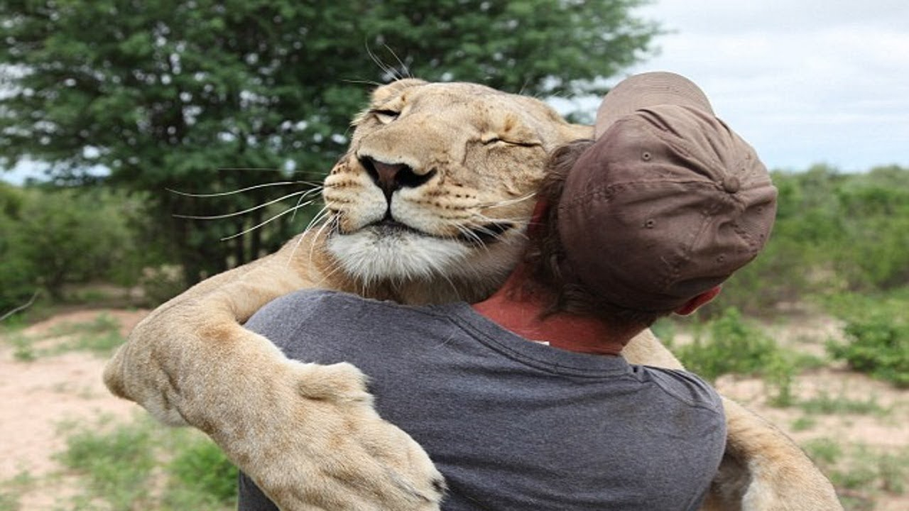 人类大战猛兽的视频大全下载人类大战猛兽的视频大全-第2张图片
