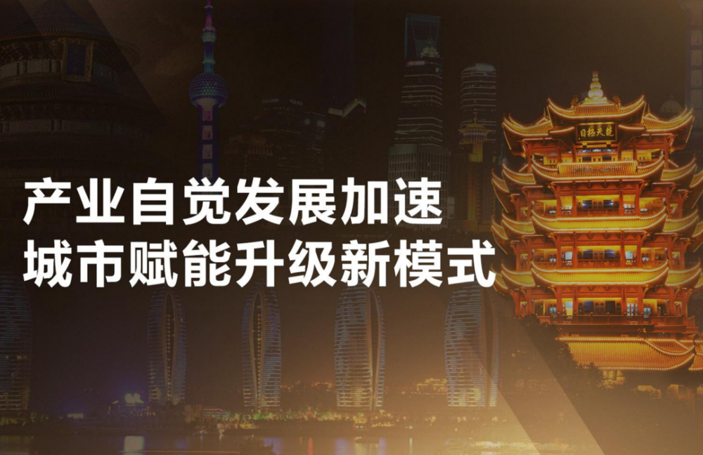 海南直播，直播新纪元