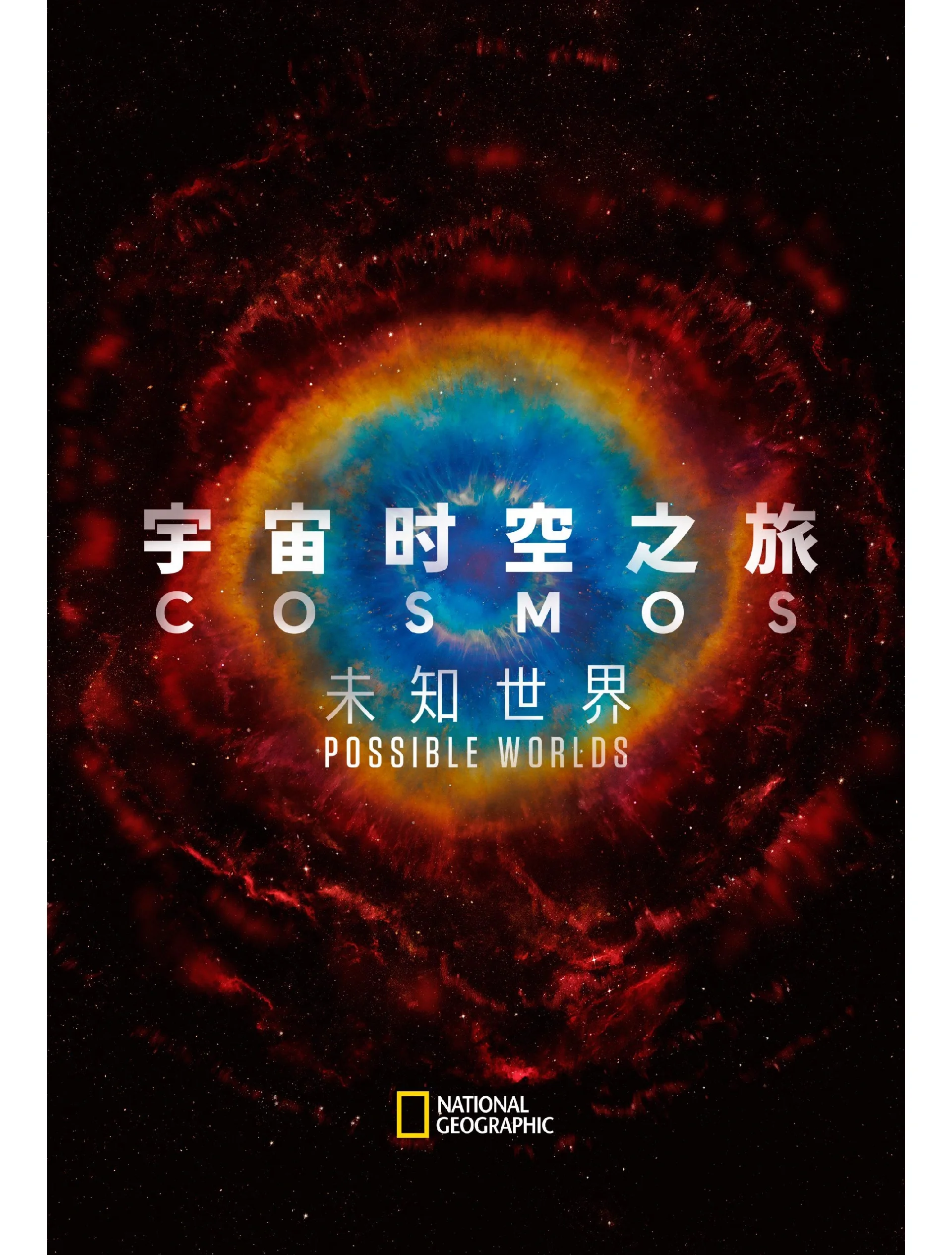探索免费永久观看电视影片的软件