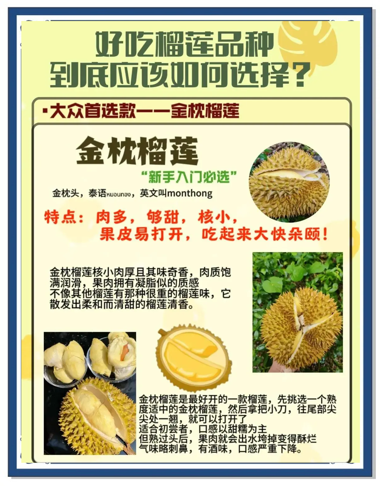 榴莲视频下架后改为啥名榴莲视频，探索美味与诱惑-第1张图片