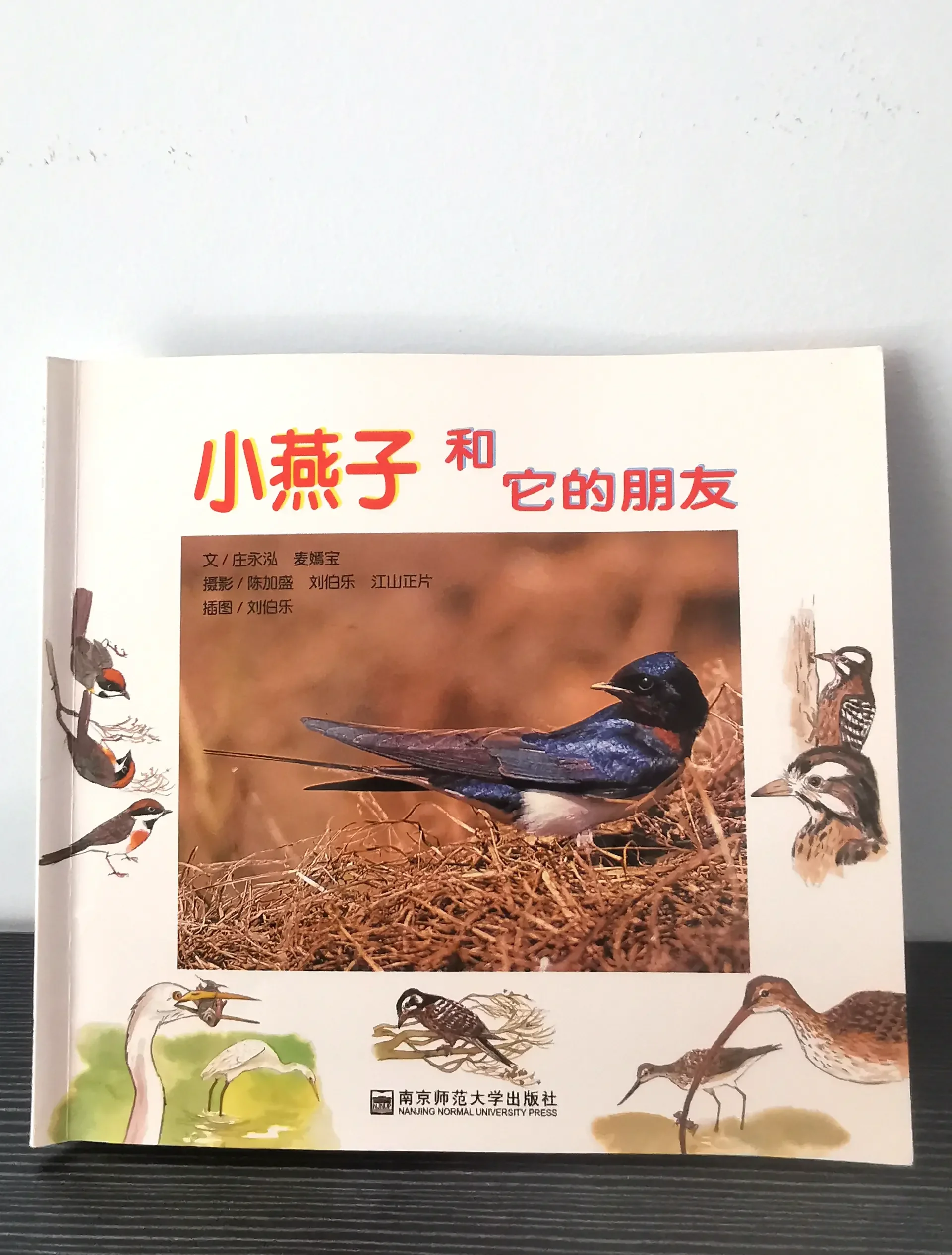 Flappy bird是什么意思探索Flappy Bird的世界-第2张图片
