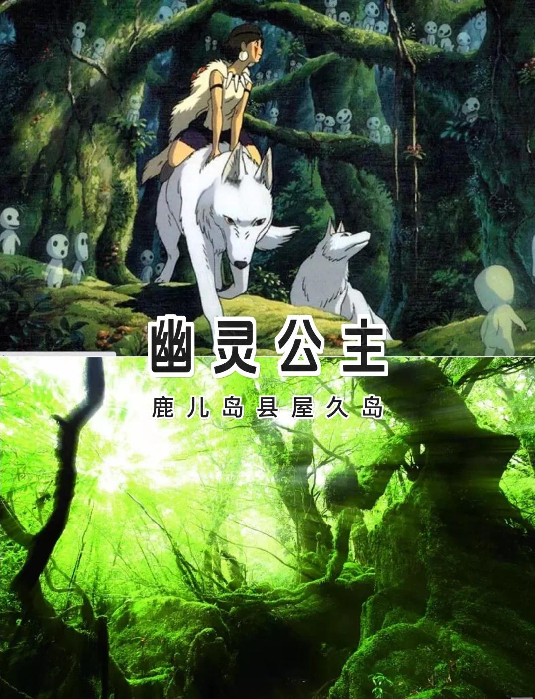 一个人免费观看的www日本动漫一个人免费观看日本动漫，探索神秘动漫世界-第3张图片