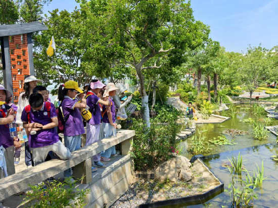 放松与动力的交织之旅
