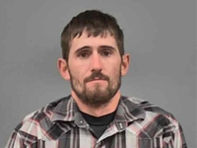 偷猎者的英文偷猎者之祸，生态保护与人类行为
