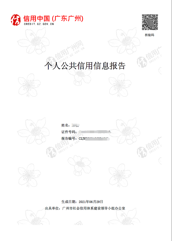 江苏个人信用记录网上查询官网江苏个人信用记录网上查询-第3张图片