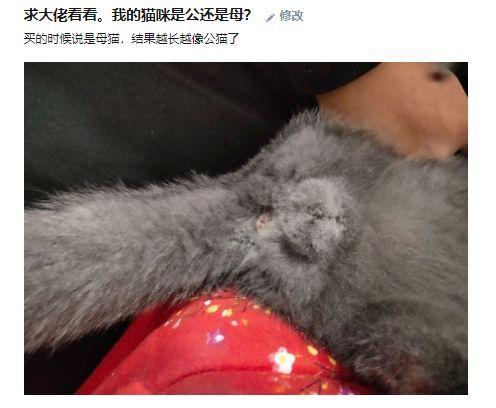 放荡的小峓子在厨房肉肉放荡的小峓子在厨房肉肉