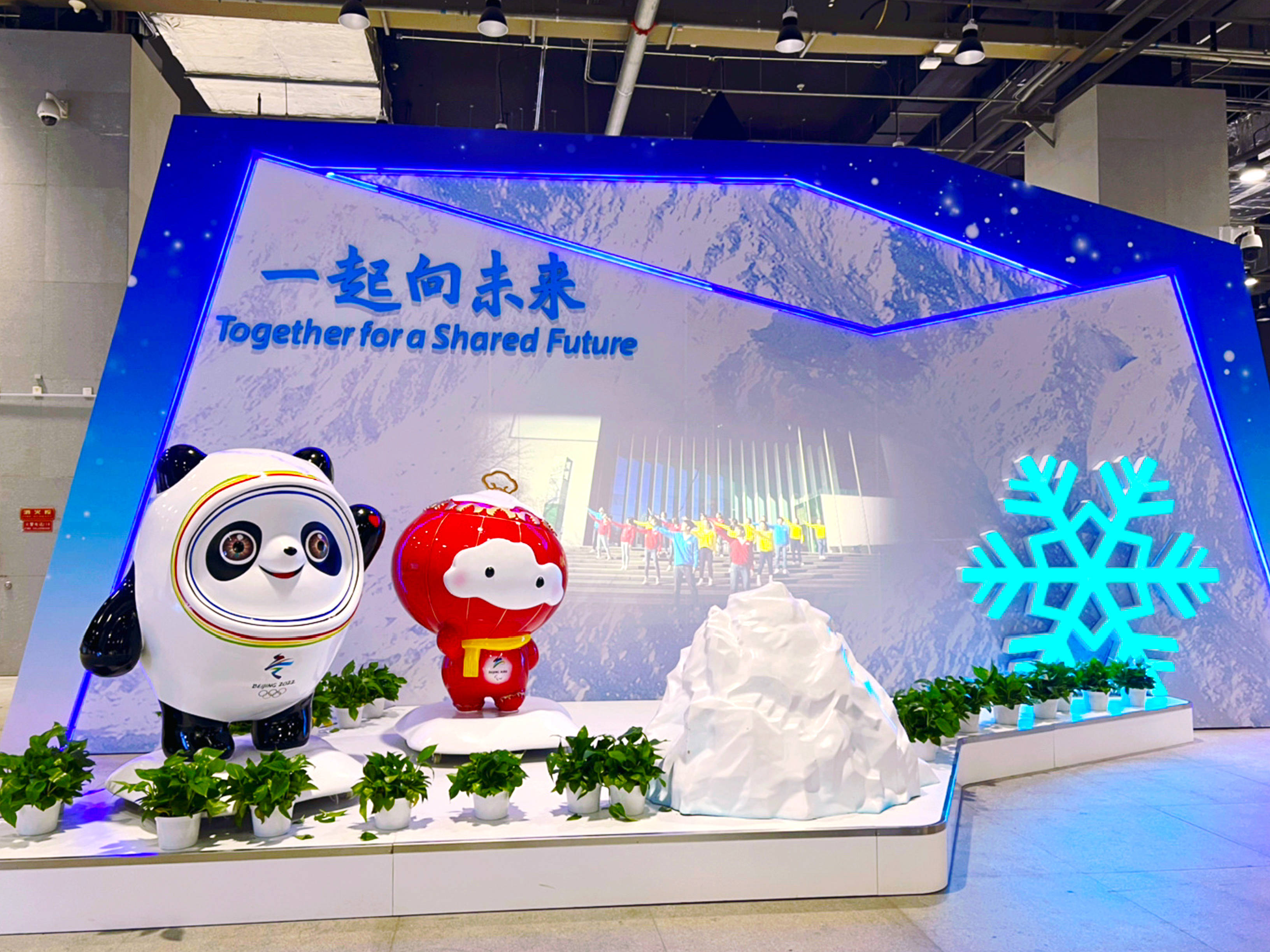 乐9乐除以乐乐9乐，科技与生活的完美融合