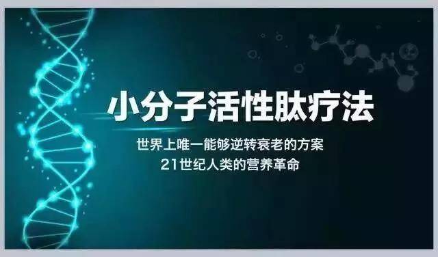 全讯官网99全讯网，科技前沿的引领者-第2张图片