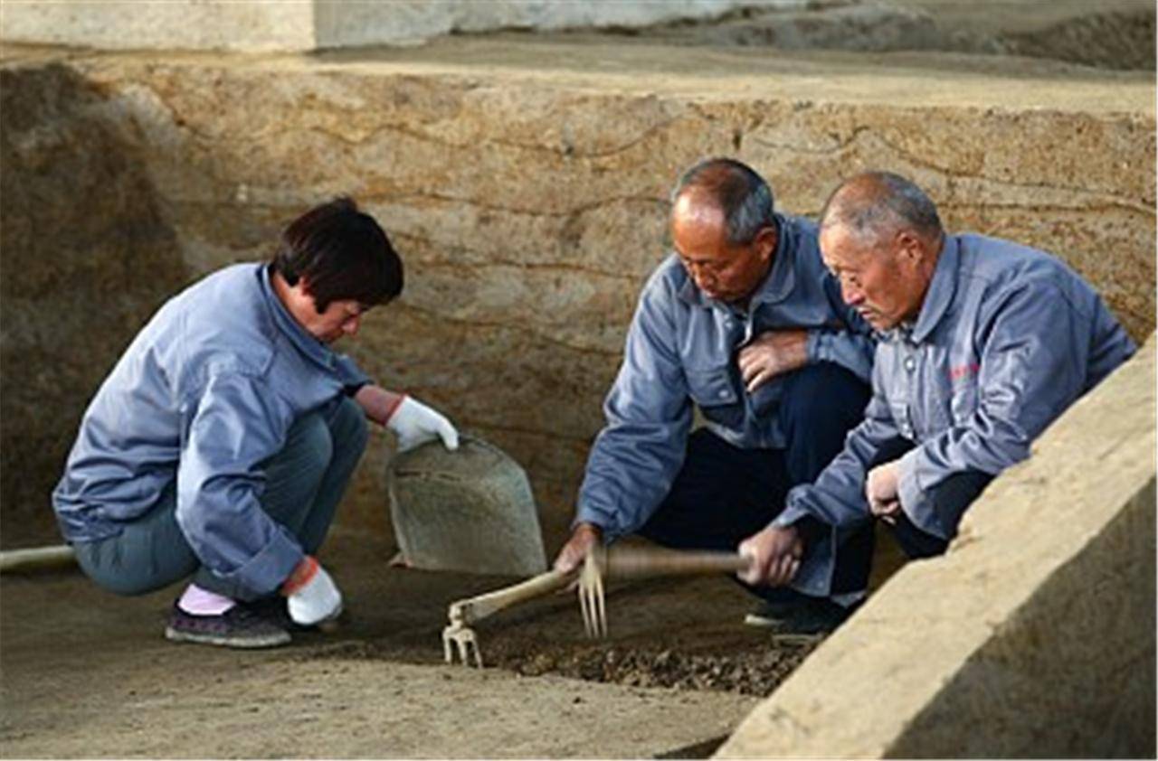 寻找挖掘队怎么上山前往挖掘场
