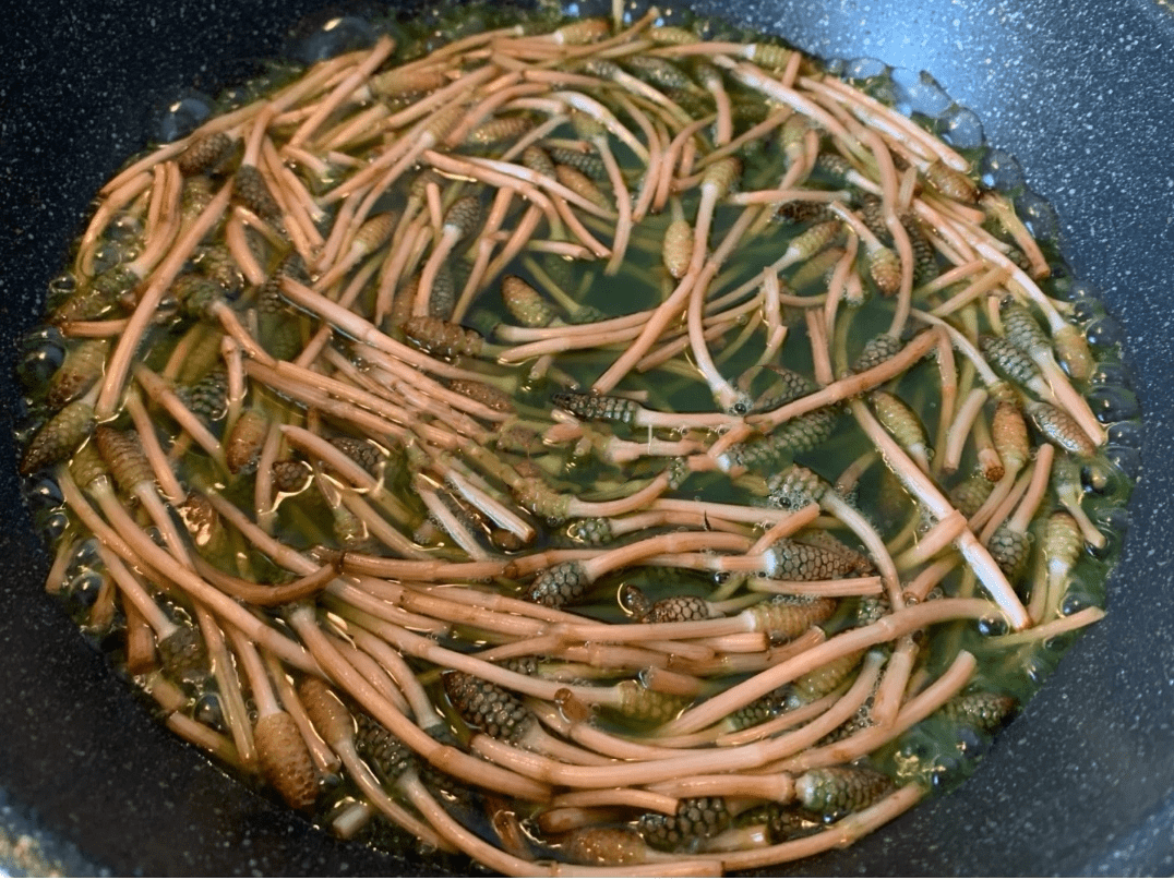 笔头菜，美味与健康的完美结合-第2张图片