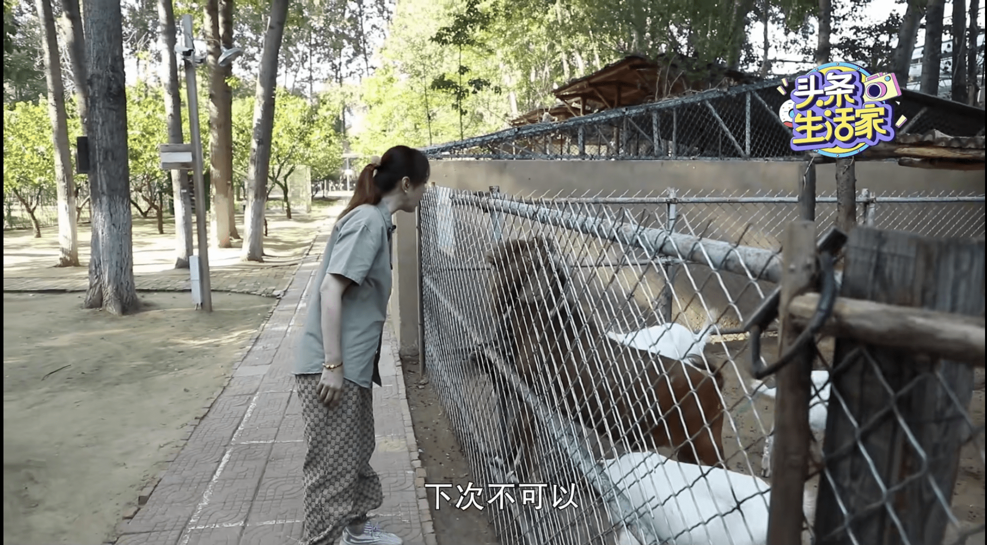 两根一起进去疼拔出来就不疼了，疼痛的奇妙之旅-第2张图片
