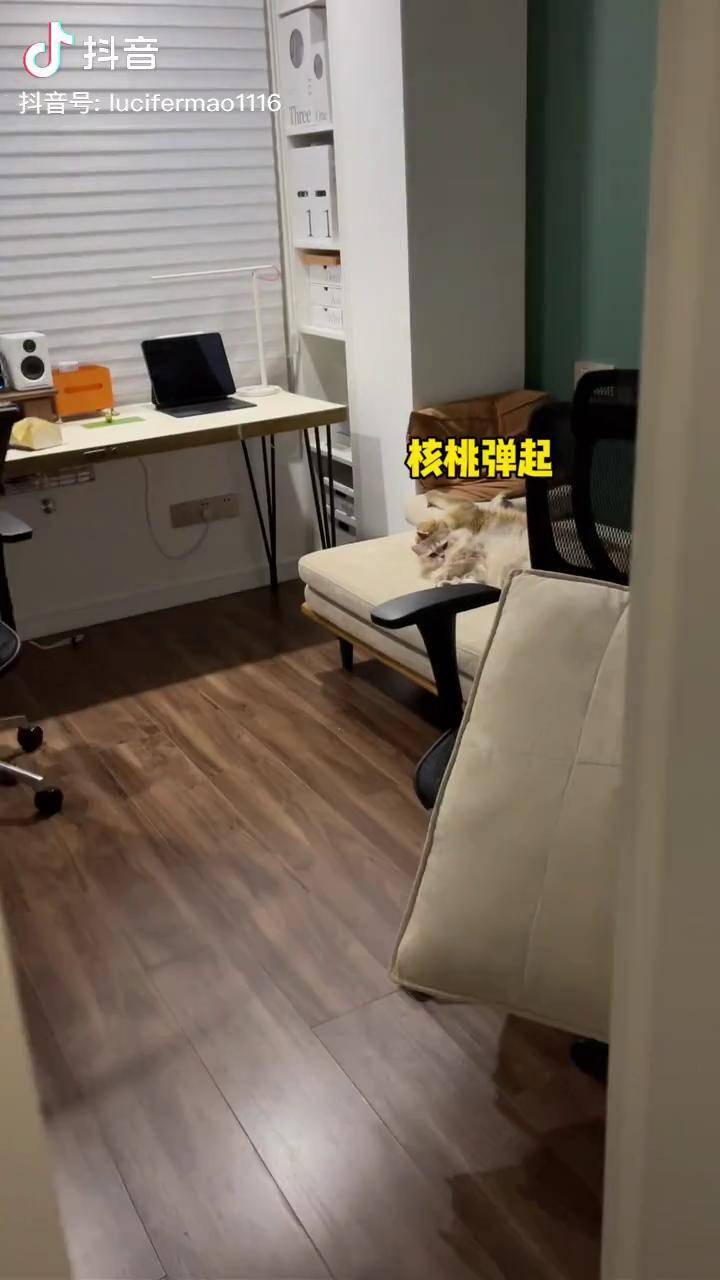 快短猫短视频3秒跳转快猫永久破解版介绍