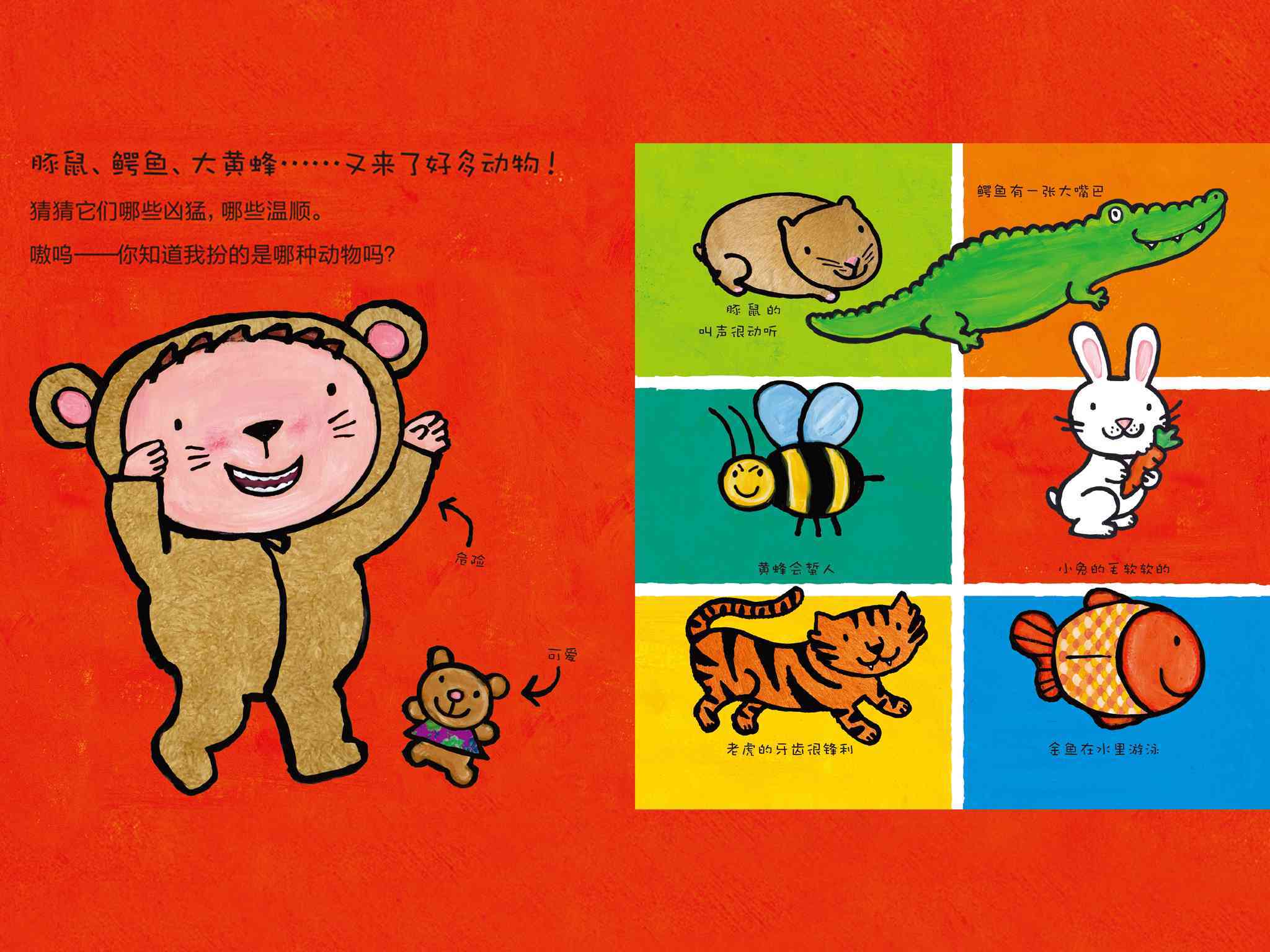 老虎宝典最新版下载老虎宝典，解锁自然之秘-第2张图片