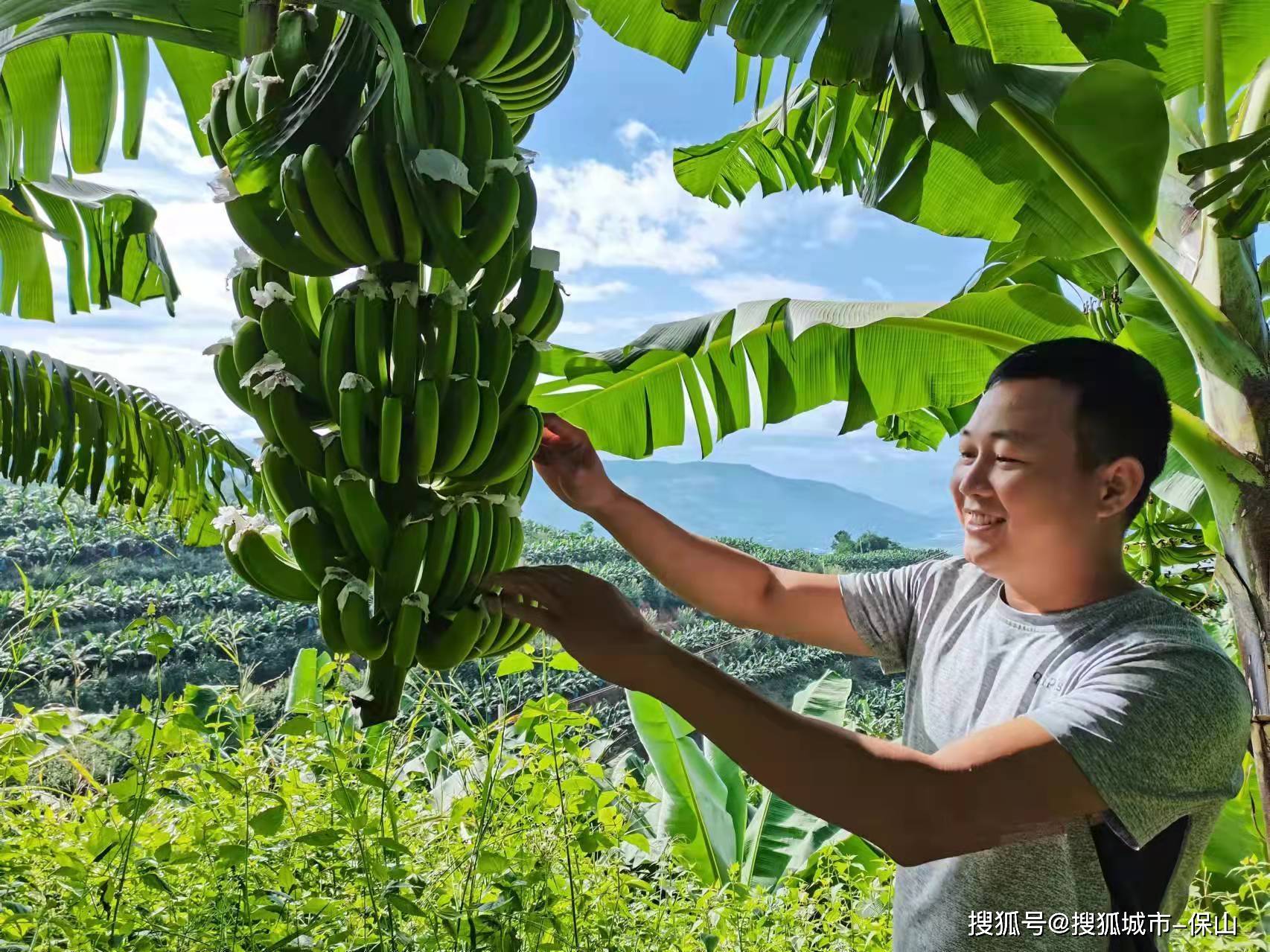 男人大臿蕉香蕉大视频男人大臿蕉与香蕉大视频，探索健康与活力的生活态度-第3张图片