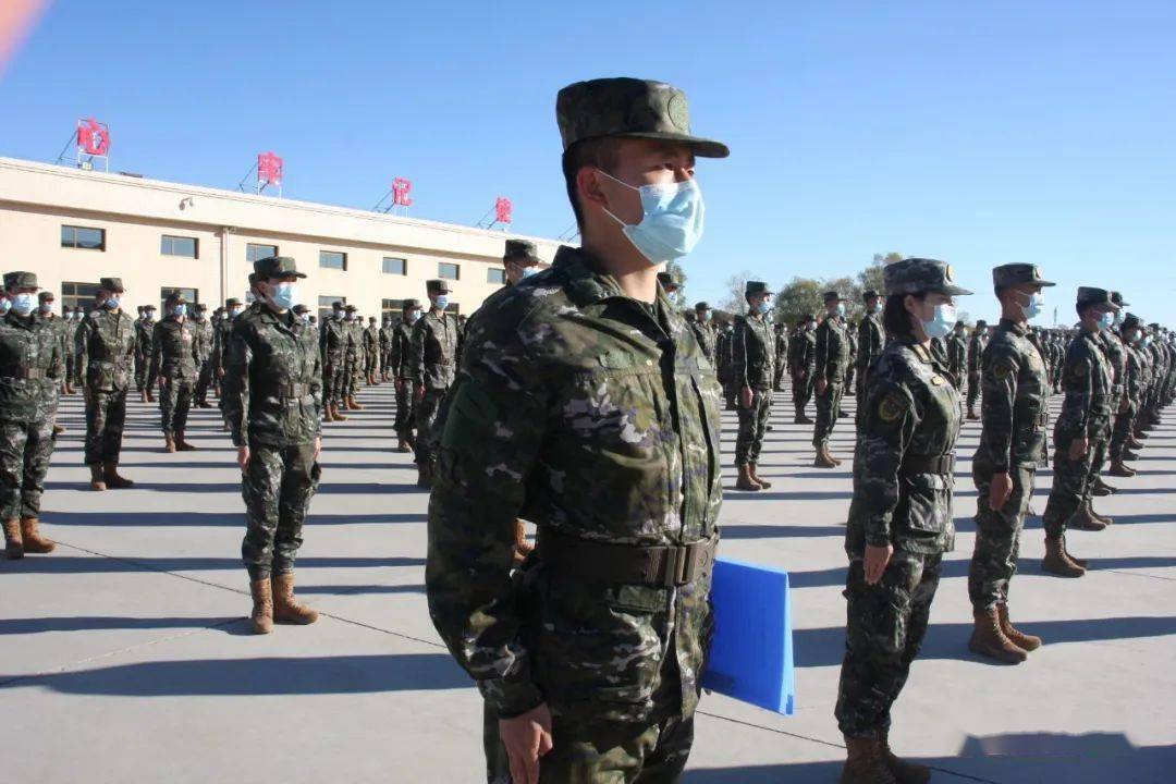 新兵下载网新兵下载，开启新征程的必备工具-第3张图片