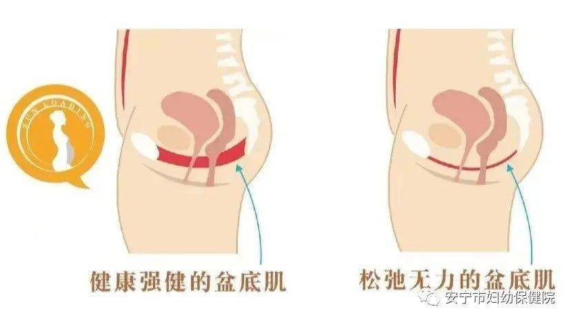 扒开她的阴道扒开她的阴道，一场感官的冒险-第2张图片