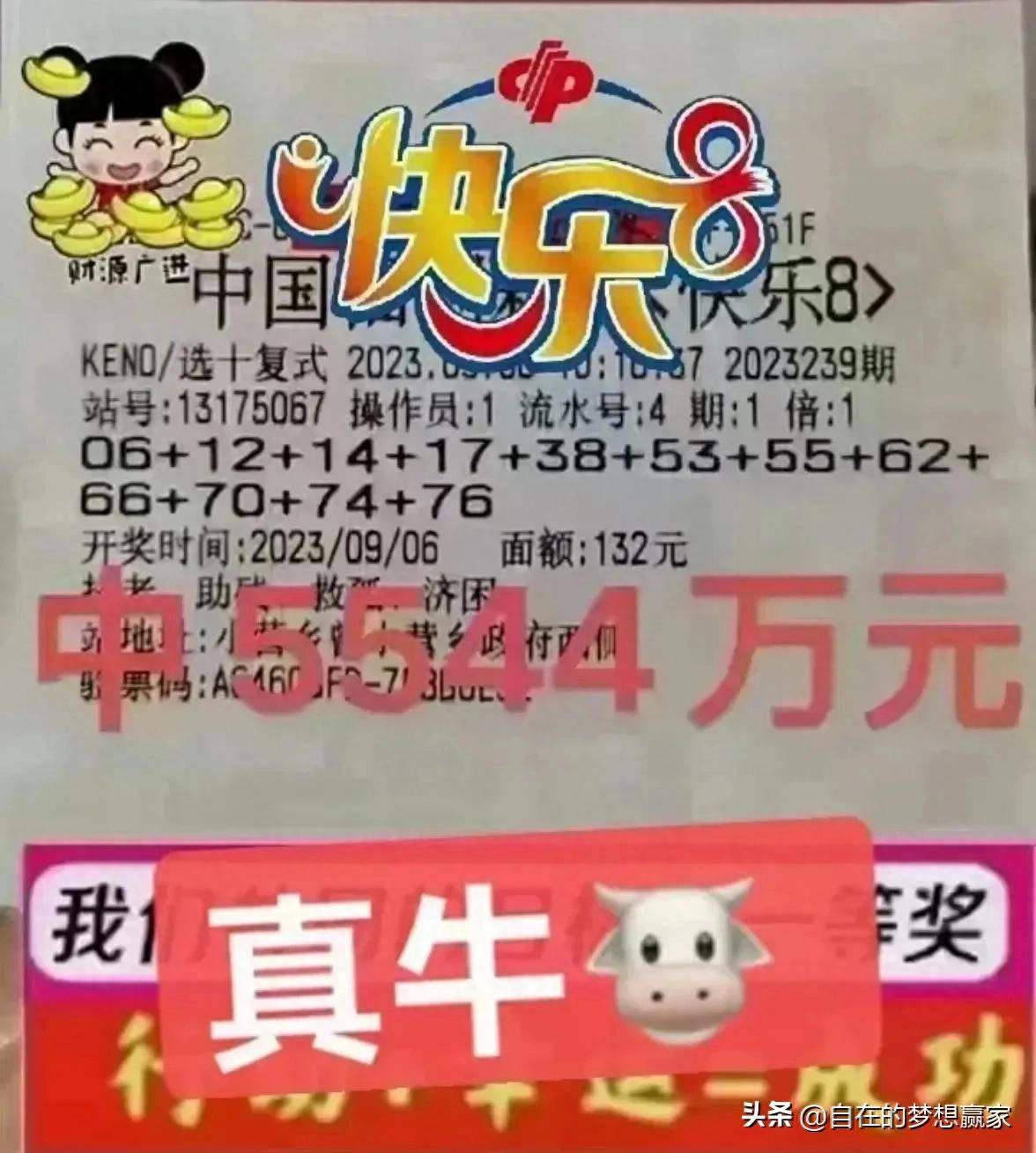 彩票查询结果快乐8彩票查询结果揭秘