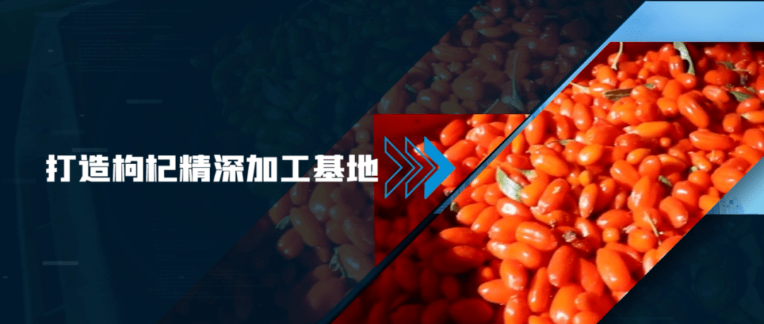 国精产品W灬源码16国精产品W灬源码16，引领未来科技新篇章-第2张图片