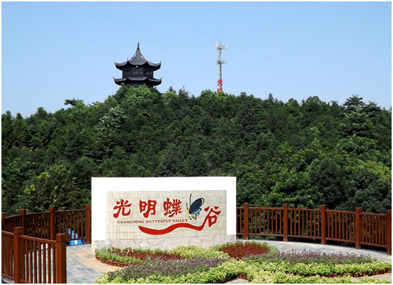 成人蝴蝶谷，探索成人之美的神秘之地