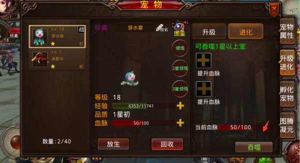 神将无双神将无双，勇者无畏的传奇之路