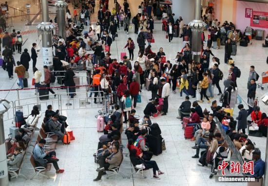 现场报码现场报码，高效信息传递的新篇章