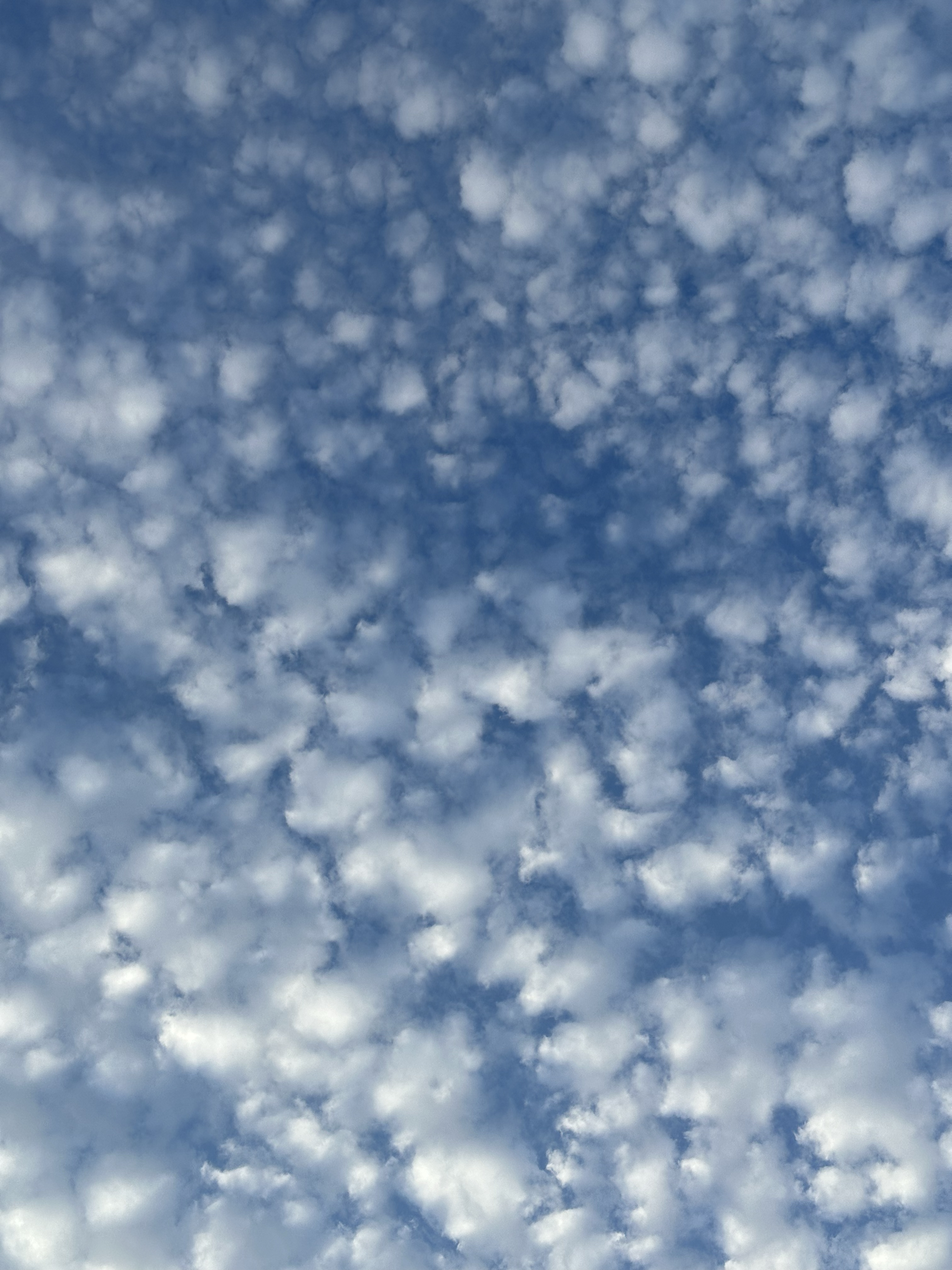 天空彩票与你同行天空彩票与你同行