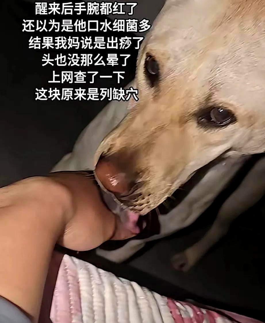 狗狗射速好烫太怕了春雨医生狗狗射速好烫太怕春雨医生